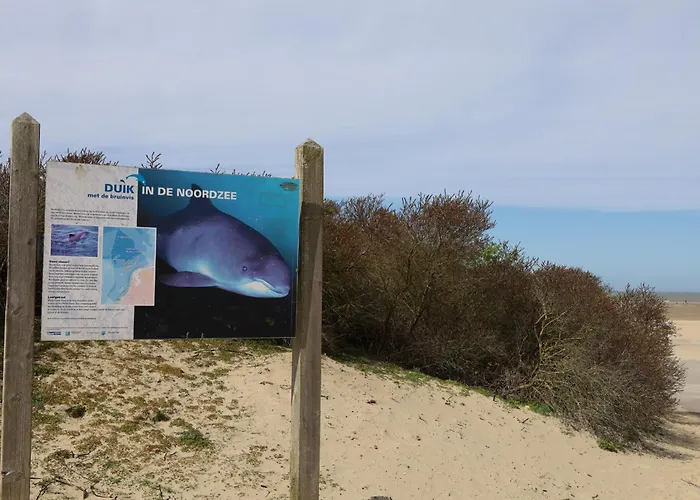 Casita Aan Zee 펜션